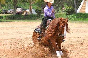Reining