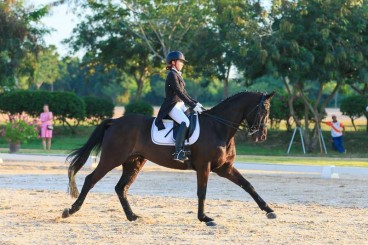 Dressage